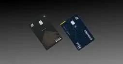 visa infinite